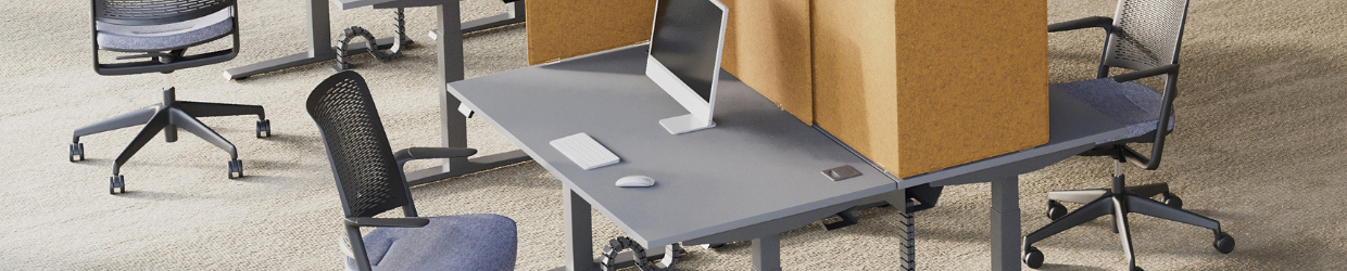 Steh-Sitz-Tische 'NZ20'