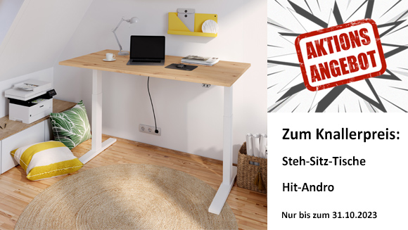 Home-Office 'Hit-Andro'