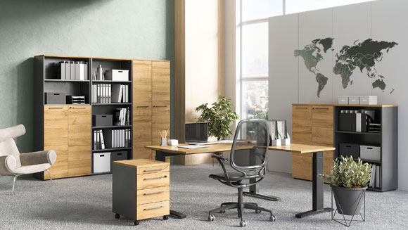 Home-Office 'Agent'